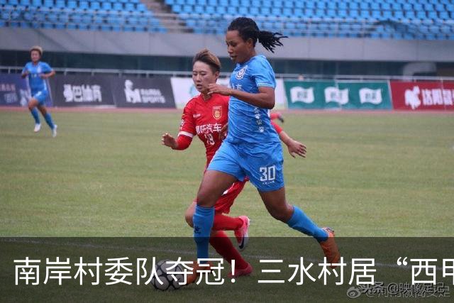 南岸村委队夺冠！三水村居“西甲”燃情落幕